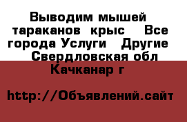 Выводим мышей ,тараканов, крыс. - Все города Услуги » Другие   . Свердловская обл.,Качканар г.